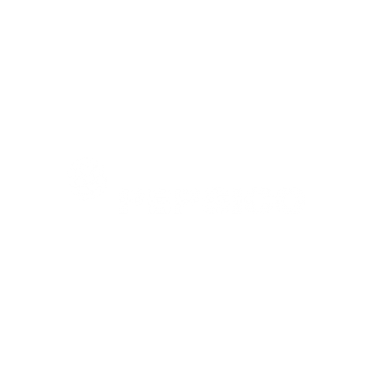 Logo PepsiCo